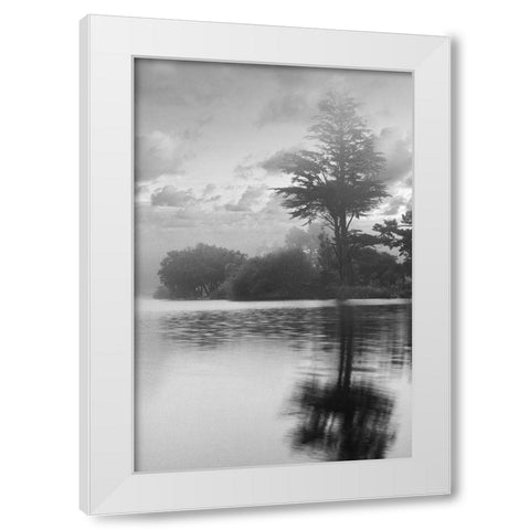 Coastal Oak Series No. 34 White Modern Wood Framed Art Print by Blaustein, Alan