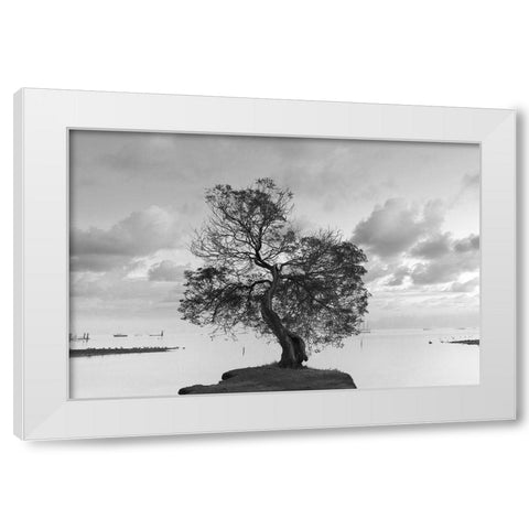 Coastal Oak Series No. 36 White Modern Wood Framed Art Print by Blaustein, Alan