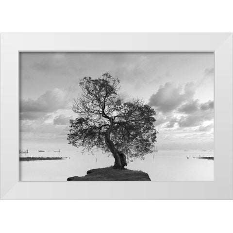 Coastal Oak Series No. 36 White Modern Wood Framed Art Print by Blaustein, Alan