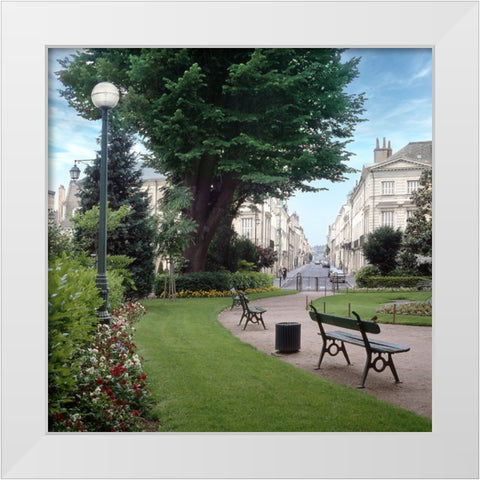 French Jardin No. 14 White Modern Wood Framed Art Print by Blaustein, Alan