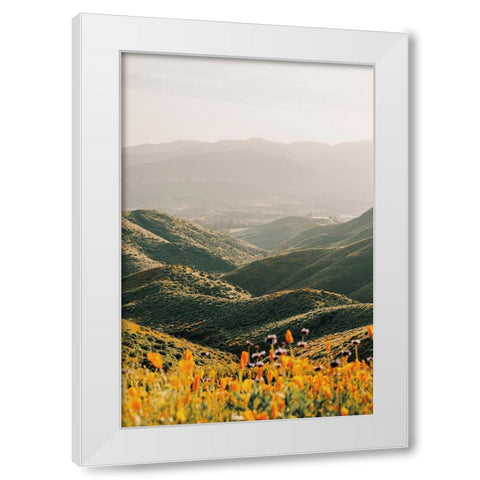 Palomar White Modern Wood Framed Art Print by Broadway, Krista