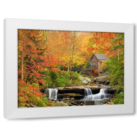 Autumn Splendor White Modern Wood Framed Art Print by Carmel, Elizabeth