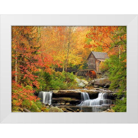 Autumn Splendor White Modern Wood Framed Art Print by Carmel, Elizabeth
