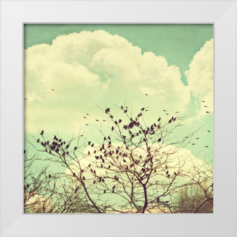 Birds of a Feather White Modern Wood Framed Art Print by Coomes, Sylvia