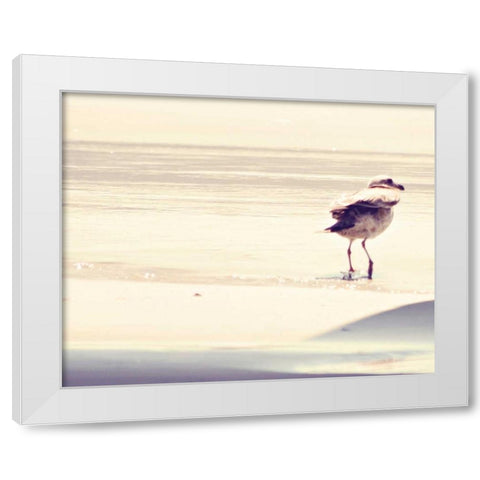 Bird at The Beach White Modern Wood Framed Art Print by Coomes, Sylvia