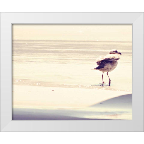 Bird at The Beach White Modern Wood Framed Art Print by Coomes, Sylvia