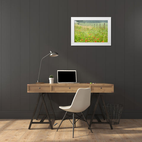 Flowers and Fence White Modern Wood Framed Art Print by Connolly, Karin