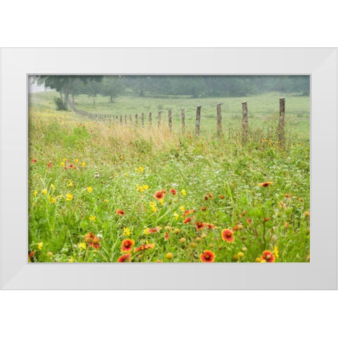 Flowers and Fence White Modern Wood Framed Art Print by Connolly, Karin