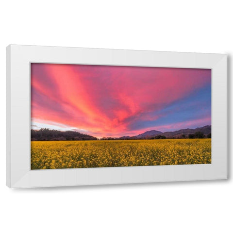 Spring Sunset Napa Valley White Modern Wood Framed Art Print by Carmel, Elizabeth