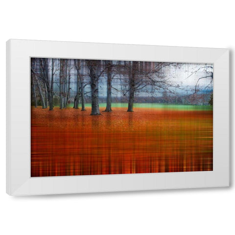 Abstract Autumn White Modern Wood Framed Art Print by Cmarits, Hannes