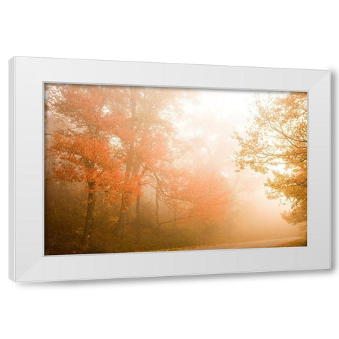 Beyond The Fog White Modern Wood Framed Art Print by Connolly, Karin