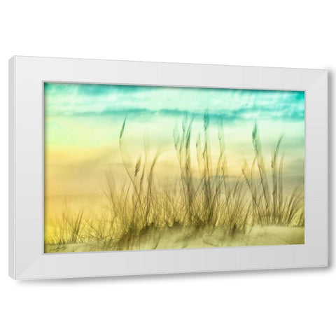 Delightful No. 2 White Modern Wood Framed Art Print by Connolly, Karin