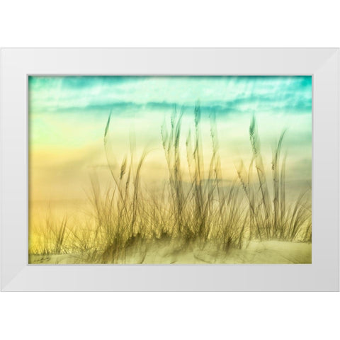 Delightful No. 2 White Modern Wood Framed Art Print by Connolly, Karin