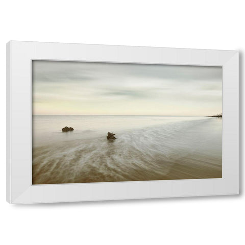 It Takes Two White Modern Wood Framed Art Print by Connolly, Karin