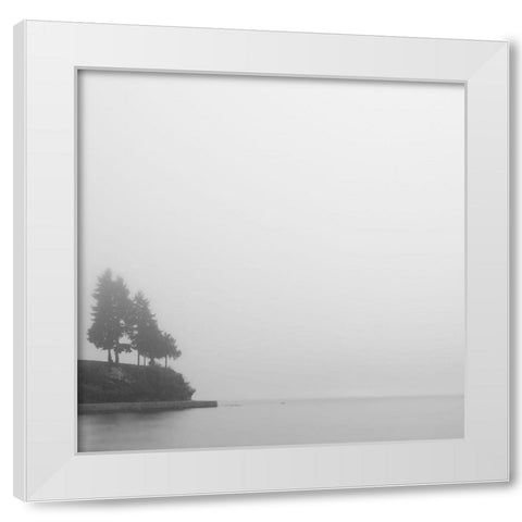 Foggy Coast 1 White Modern Wood Framed Art Print by Colligan, Lynann