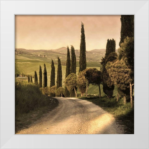 Country Lane Tuscany White Modern Wood Framed Art Print by Carmel, Elizabeth