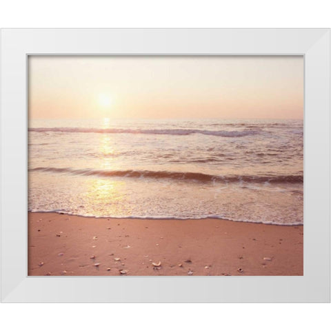 A New Beginning White Modern Wood Framed Art Print by Cochrane, Carolyn