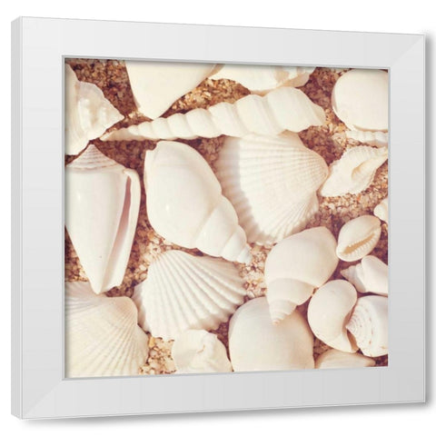 Beachcomber White Modern Wood Framed Art Print by Cochrane, Carolyn