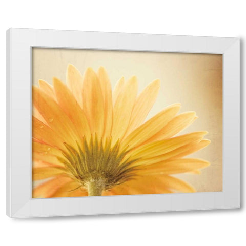 Butterscotch White Modern Wood Framed Art Print by Cochrane, Carolyn