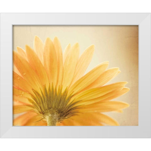 Butterscotch White Modern Wood Framed Art Print by Cochrane, Carolyn