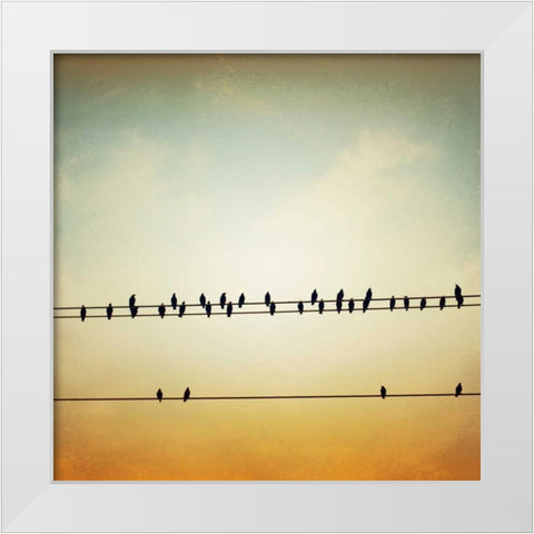 In Tune White Modern Wood Framed Art Print by Cochrane, Carolyn
