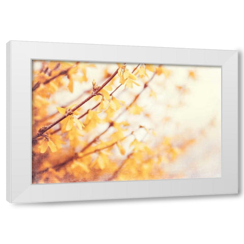 In the Beginning White Modern Wood Framed Art Print by Cochrane, Carolyn