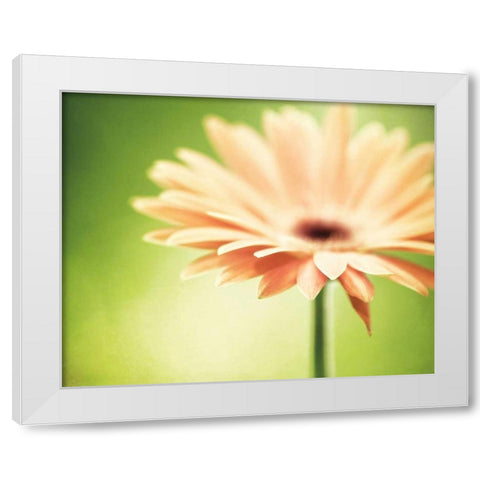 Joyful White Modern Wood Framed Art Print by Cochrane, Carolyn