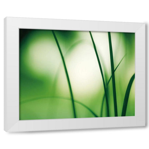 Natural Flow White Modern Wood Framed Art Print by Cochrane, Carolyn