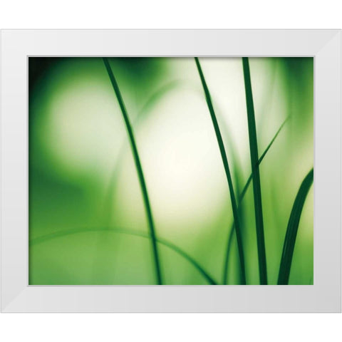 Natural Flow White Modern Wood Framed Art Print by Cochrane, Carolyn