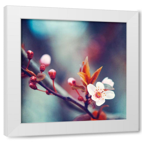 Natures Palette White Modern Wood Framed Art Print by Cochrane, Carolyn