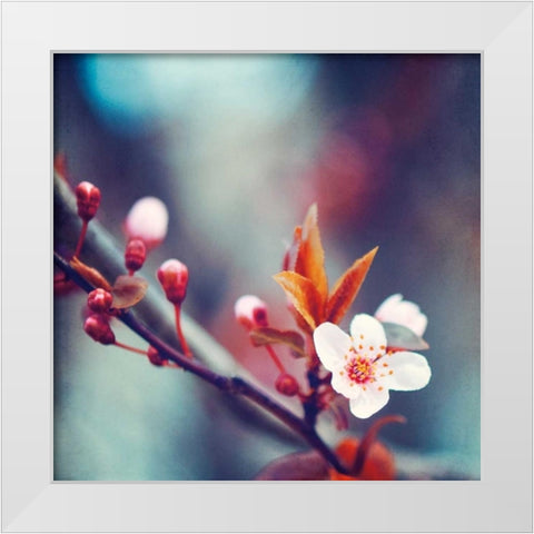 Natures Palette White Modern Wood Framed Art Print by Cochrane, Carolyn