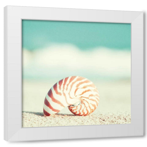 Nautilus White Modern Wood Framed Art Print by Cochrane, Carolyn
