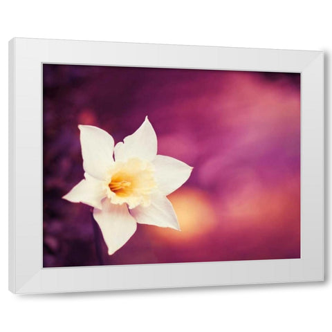 Outburst White Modern Wood Framed Art Print by Cochrane, Carolyn