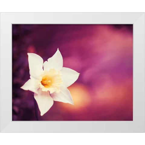 Outburst White Modern Wood Framed Art Print by Cochrane, Carolyn