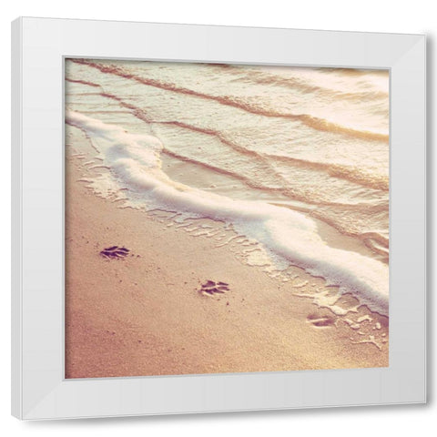 Paw Prints White Modern Wood Framed Art Print by Cochrane, Carolyn