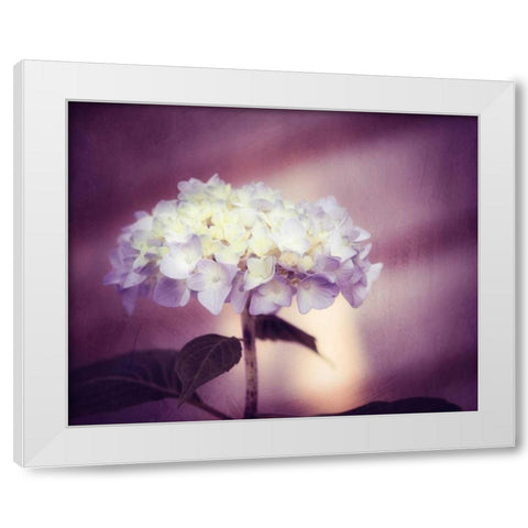 Regal White Modern Wood Framed Art Print by Cochrane, Carolyn
