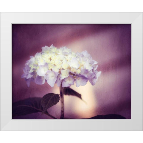 Regal White Modern Wood Framed Art Print by Cochrane, Carolyn