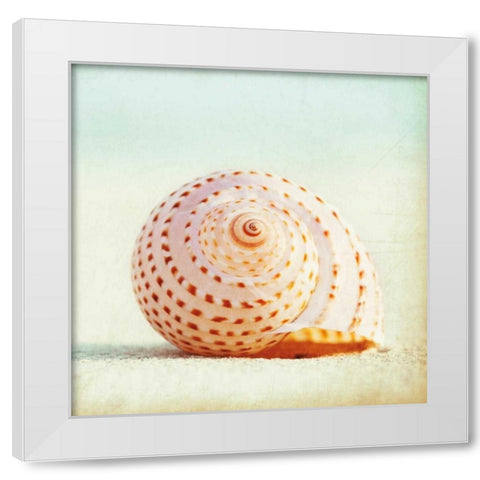 Seashell Voices White Modern Wood Framed Art Print by Cochrane, Carolyn