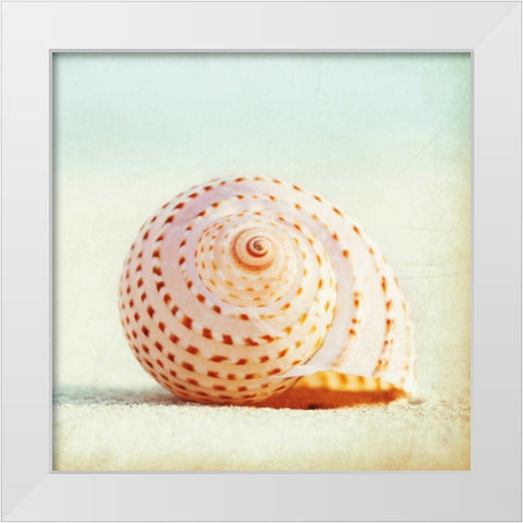 Seashell Voices White Modern Wood Framed Art Print by Cochrane, Carolyn