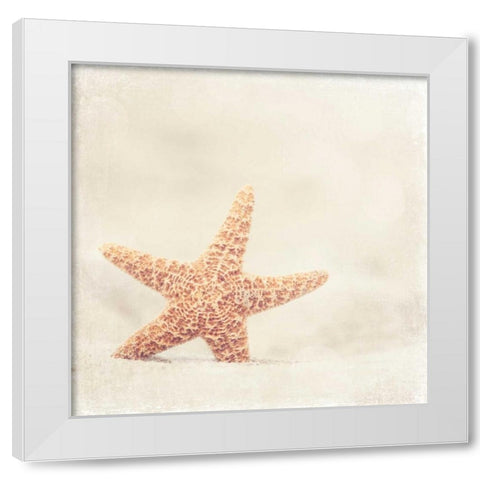 Serendipity White Modern Wood Framed Art Print by Cochrane, Carolyn