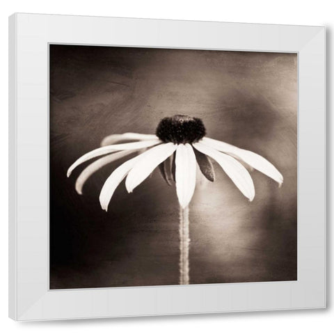 Simply Stated White Modern Wood Framed Art Print by Cochrane, Carolyn
