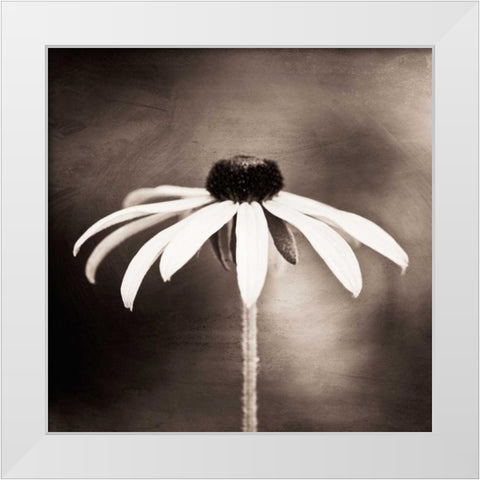 Simply Stated White Modern Wood Framed Art Print by Cochrane, Carolyn