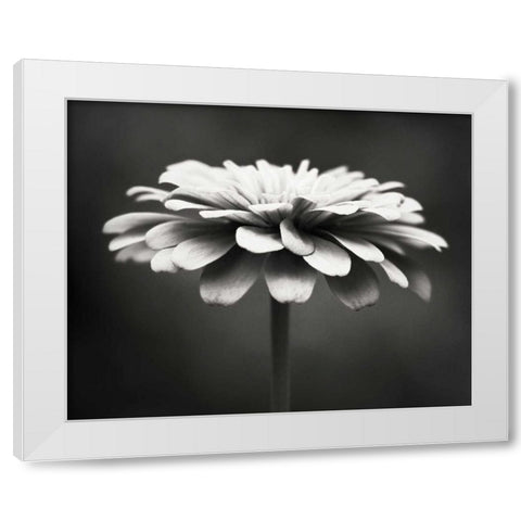 Spellbinding White Modern Wood Framed Art Print by Cochrane, Carolyn