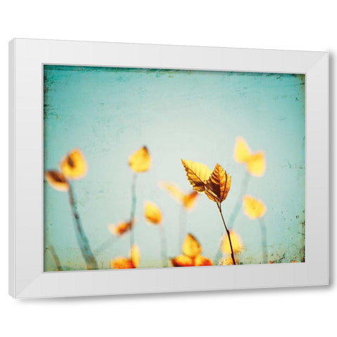 Sundance White Modern Wood Framed Art Print by Cochrane, Carolyn