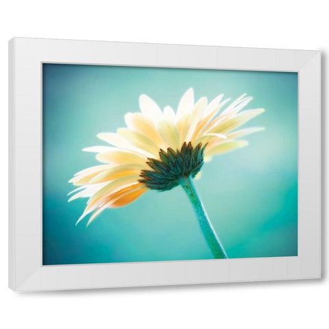 Vanity White Modern Wood Framed Art Print by Cochrane, Carolyn