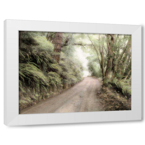 Lost Coast Road White Modern Wood Framed Art Print by Culver, Laura