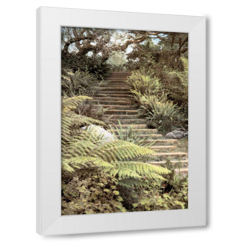 Secret Steps White Modern Wood Framed Art Print by Culver, Laura