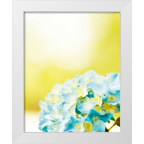 Hydrangea White Modern Wood Framed Art Print by Cochrane, Carolyn