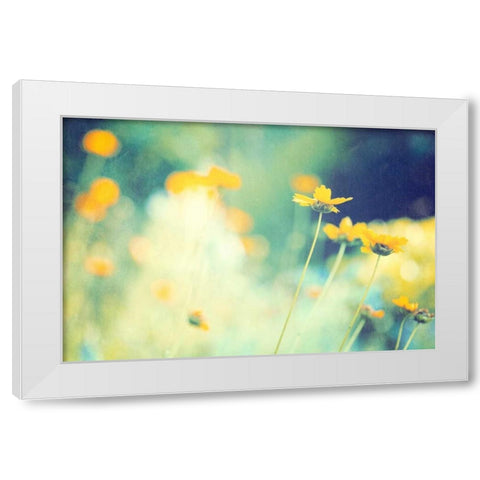 In the Meadow White Modern Wood Framed Art Print by Cochrane, Carolyn