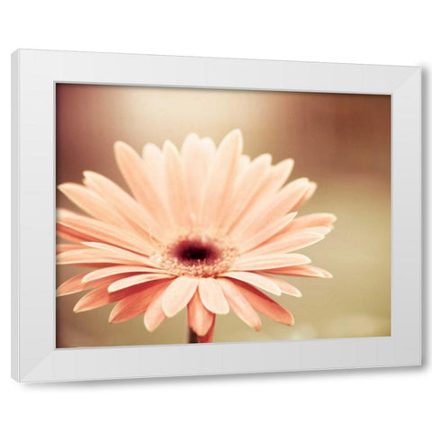 Peachy Keen White Modern Wood Framed Art Print by Cochrane, Carolyn